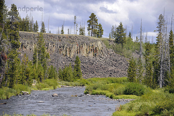 Basaltsäulen der Sheepeater Cliffs  auch Tukuaduka  Gardner River  Yellowstone Nationalpark  Wyoming  Vereinigte Staaten von Amerika  USA