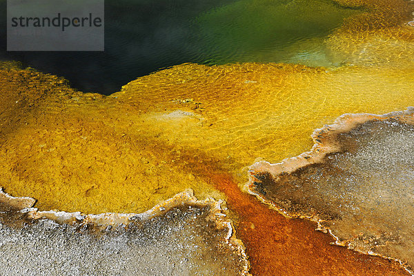 Emerald Pool Geysir  Abflussgebiet  farbige thermophile Bakterien  Mikroorganismen  geothermische Quellen  Black Sand Basin  Upper Geyser Basin  Yellowstone National Park Nationalpark  Wyoming  Vereinigte Staaten von Amerika  USA