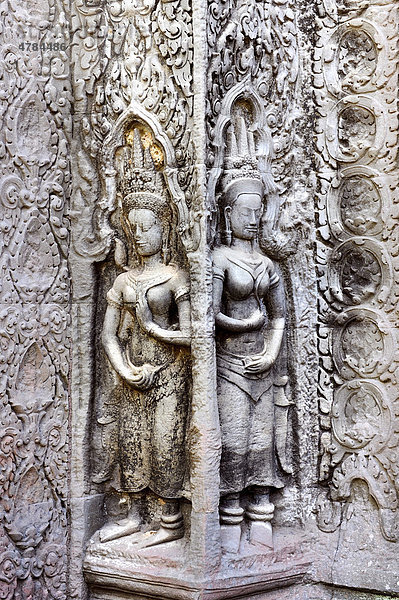 Devatas  Ta Prohm Tempel  Angkor  UNESCO Weltkulturerbe  Siem Reap  Kambodscha  Südostasien  Asien