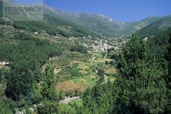 Landschaftspanorama  Parque Natural da Serra da Estrela Naturpark  Loriga  Beira Alta  Portugal  Europa