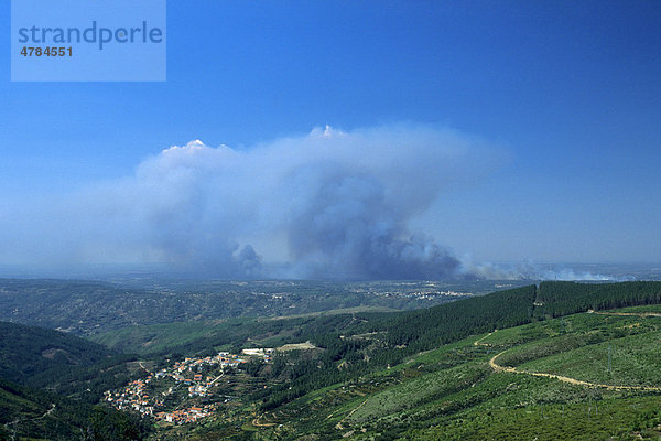 Waldbrand im Parque Natural da Serra da Estrela Naturpark  Loriga  Beira Alta  Portugal  Europa