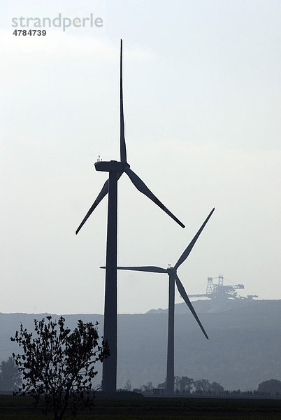 Windkraftanlagen beim Braunkohletagebau  bei Elsdorf  Nordrhein-Westfalen  Deutschland  Europa