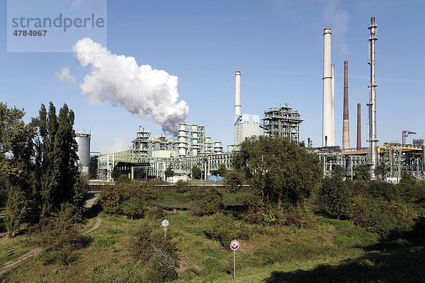 Kokerei und Hochofenanlagen Schwelgern  ThyssenKrupp Steel  Werks in Bruckhausen  Duisburg  Nordrhein-Westfalen  Deutschland  Europa