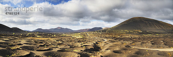 Blick auf die Feuerberge  Weinbaugebiet La Geria  Lanzarote  Kanarische Inseln  Spanien  Europa