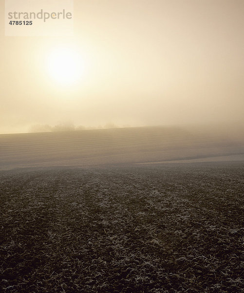 Sonnenaufgang über einem Acker im Herbst  nahe Weilheim  Schwäbische Alb  Baden-Württemberg  Deutschland  Europa