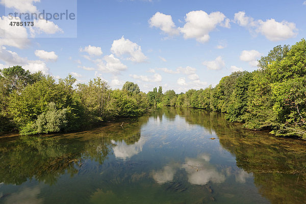 Loire bei Orleans  DÈpartement Loiret  Tal der Loire  Frankreich  Europa