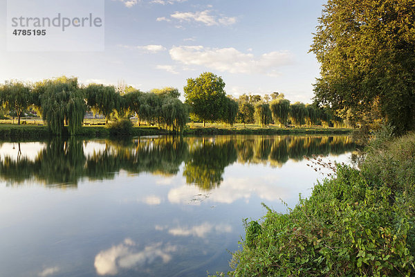 Der Fluss Cher bei Chenonceau  Department Indre-et-Loire  Region Centre  Frankreich  Europa