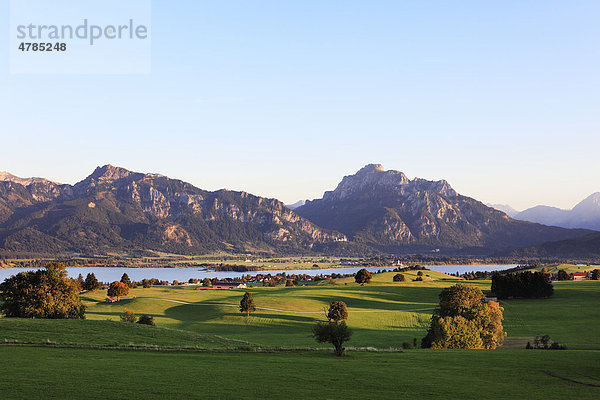 Blick von Ussenburg über Forggensee  Tegelberg und Säuling im Ammergebirge  Schloss Neuschwanstein  Ostallgäu  Allgäu  Schwaben  Bayern  Deutschland  Europa