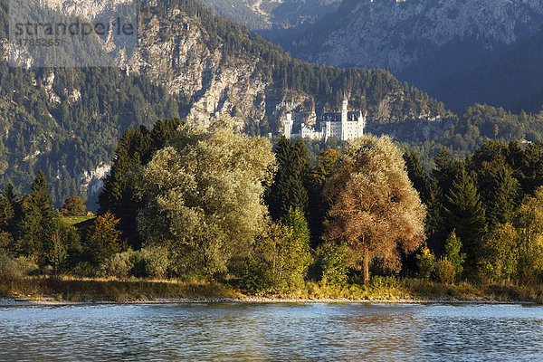 Schloss Neuschwanstein  Blick über Forggensee bei Füssen  Ostallgäu  Allgäu  Schwaben  Bayern  Deutschland  Europa