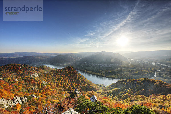 Blick von Kanzel am Vogelberg bei Dürnstein  Donau  Rossatz  Wachau  Waldviertel  Niederösterreich  Österreich  Europa