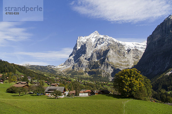 Dorfansicht Grindelwald mit Wetterhorn  Grindelwald  Berner Oberland  Kanton Bern  Schweiz  Europa
