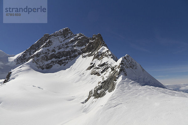 Aussicht von der Bergstation Sphinx auf die Jungfrau  Jungfraujoch  Berner Oberland  Kanton Bern  Schweiz  Europa