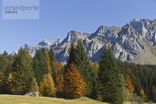 Herbstwald auf der Schwägalp mit Säntisgipfel  Kanton Appenzell  Schweiz  Europa