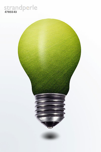 Glühbirne mit Rapsfeld  Symbolbild Umwelt  erneuerbare Energie