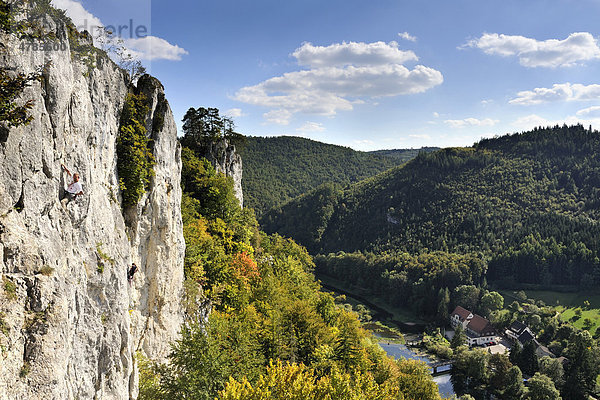 Die Falkenwand ist ein Kletterfelsen zwischen Thiergarten und Neidingen im oberen Donautal  Landkreis Sigmaringen  Baden-Württemberg  Deutschland  Europa