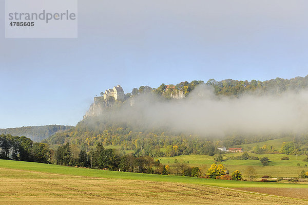 Nebelstimmung mit dem Schloss Werenwag im herbstlichen oberen Donautal  Landkreis Sigmaringen  Baden-Württemberg  Deutschland  Europa