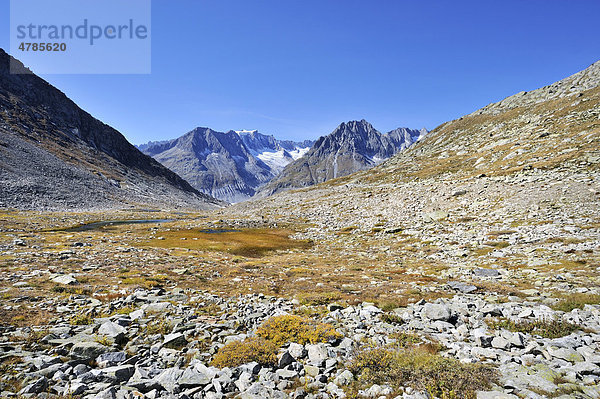 Senke vom früheren Märjelensee  ein Gletscherrandsee  östlich vom Aletschgletscher  Kanton Wallis  Schweiz  Europa Kanton Wallis