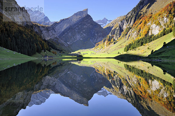 Blick über den 1143 Meter hoch gelegenen Seealpsee über die herbstliche Seealp zur 2103 Meter hohen Rossmad  rechts dahinter der Säntis  links der Altmann  Kanton Appenzell-Innerrhoden  Schweiz  Europa