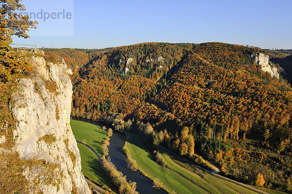 Blick zum Eichfelsen im oberen Donautal mit herbstlicher Vegetation  Landkreis Sigmaringen  Baden-Württemberg  Deutschland  Europa