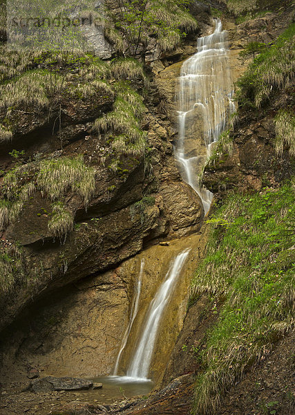 Wasserfall eines kleinen Baches in der Nähe von Nesselwang  Allgäu  Bayern  Deutschland  Europa