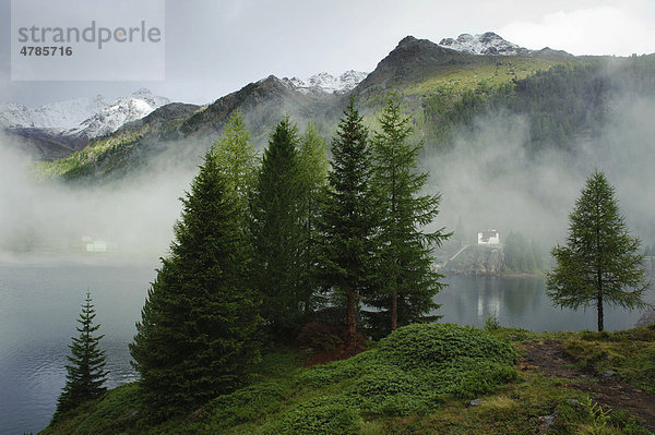 Nebel über dem Weißbrunner See  Südtirol  Italien  Europa