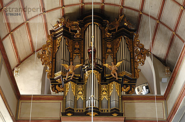 Alte Orgel  zweite Hälfte des 17. Jhd.  in der Johanniskirche  1350-1370 errichtet  Johannisstraße  Lauf an der Pegnitz  Mittelfranken  Bayern  Deutschland  Europa