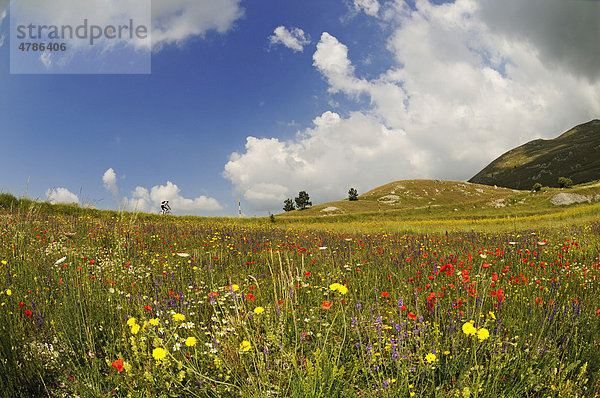 Radfahrer auf dem Campo Imperatore  Gran Sasso Nationalpark  Abruzzen  Italien  Europa