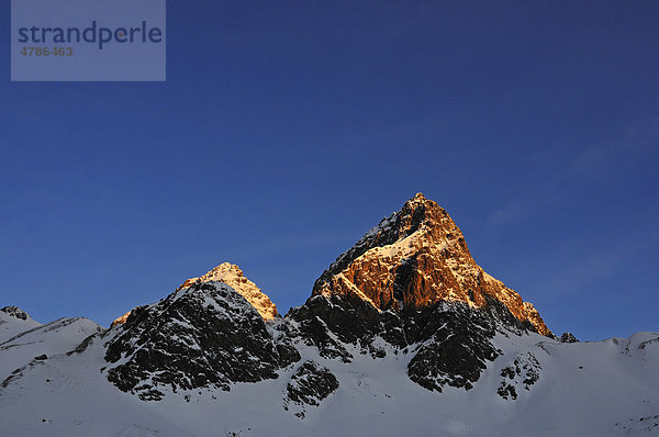 Gipfel des Piz Buin  Engadin  Graubünden  Schweiz  Europa