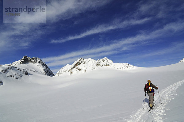 Skibergsteiger auf dem Weg zum Piz Buin  Engadin  Graubünden  Schweiz  Europa