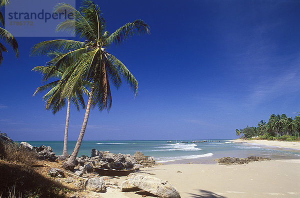 Palmenstrand  Klong Khong Beach  Insel Ko Lanta  Krabi  Thailand  Südostasien