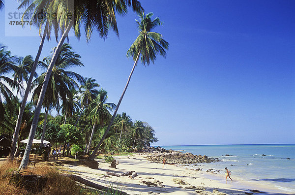 Palmenstrand  Long Beach  Phra Ae Beach  Insel Ko Lanta  Krabi  Thailand  Südostasien