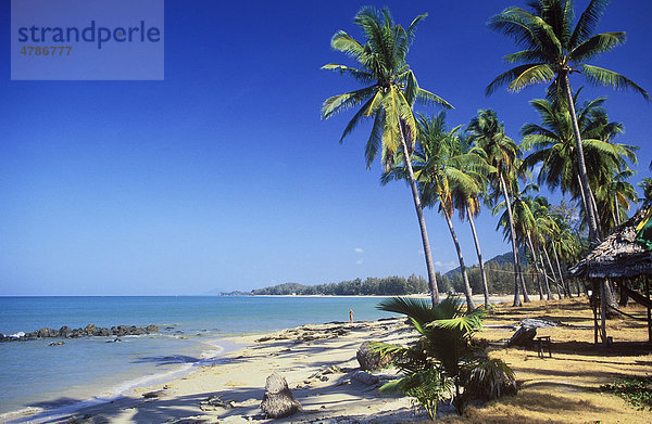 Palmenstrand  Long Beach  Phra Ae Beach  Insel Ko Lanta  Krabi  Thailand  Südostasien