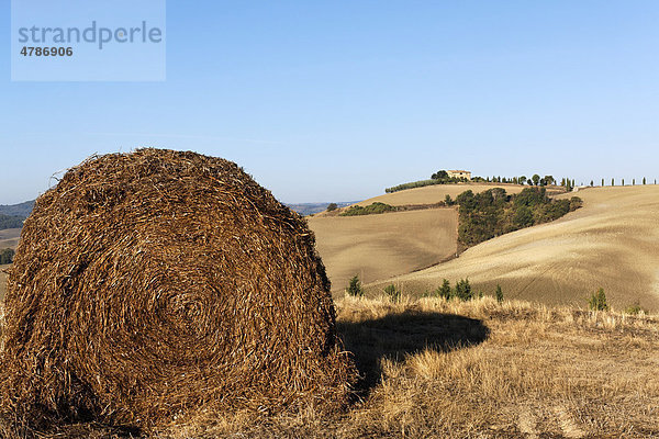 Strohballen in der ländlichen toskanischen Landschaft nach der Ernte im Herbst  Val d'Orcia  Orcia-Tal  Toskana  Italien  Europa