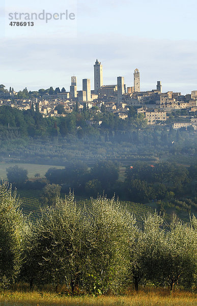 Blick über Olivenhaine auf die mittelalterlichen Stadt San Gimignano  Toskana  Italien  Europa