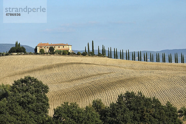Landschaft mit Bauernhaus auf einem Hügel  Reihe von Zypressen  gepflügtes Feld  Val d'Orcia  Orciatal  Toskana  Italien  Europa