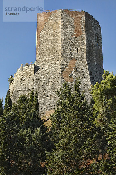 Die majestätische Burg Rocca di Tentennano  13. Jh.  vom Castiglione d'Orcia  Val d'Orcia  Orciatal  Toskana  Italien  Europa
