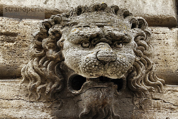 Löwenkopf an einem Renaissancegebäude  Nahaufnahme  Montepulciano  Toskana  Italien  Europa