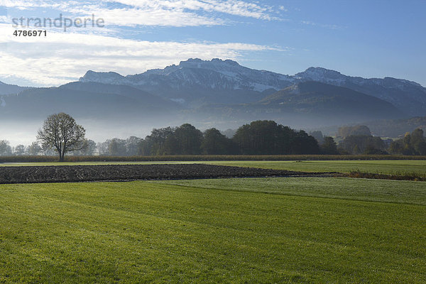 Landschaft am Morgen  Chiemgau  Oberbayern  Bayern  Deutschland  Europa