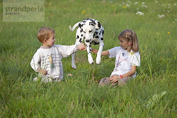 Kinder mit Dalmatiner auf einer Wiese