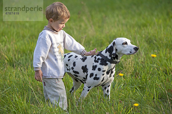 Kleiner Junge mit Dalmatiner auf einer Wiese