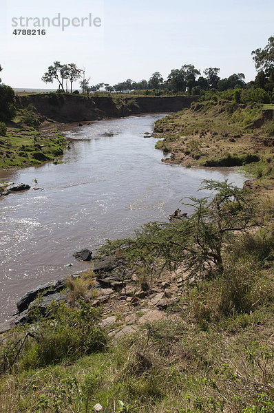 Mara Fluss  Masai Mara  Kenia  Afrika