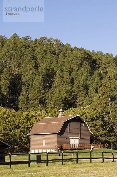 Custer State Park  Black Hills  South Dakota  USA