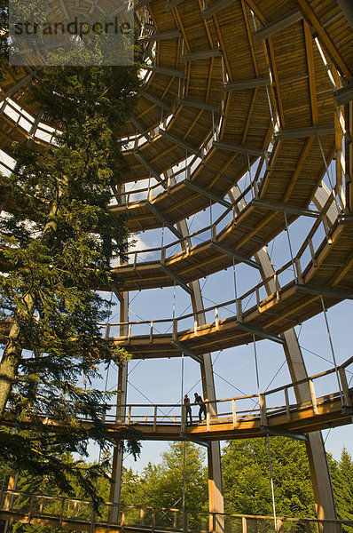 Baumturm  44 Meter hoch  am längsten Baumwipfelpfad der Welt  spiralförmig  barrierefrei  Neuschönau  Nationalpark Bayerischer Wald  Bayern  Deutschland  Europa
