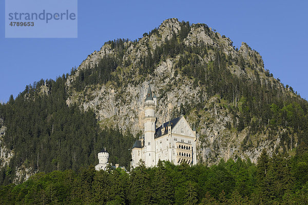 Schloss Neuschwanstein  Füssen  Tegelberg  Oberbayern  Bayern  Deutschland  Europa