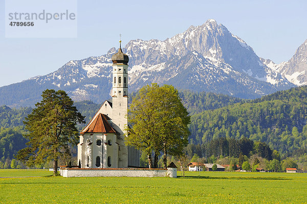 Wallfahrtskirche St. Coloman bei Füssen  Thannheimer Berge  Ostallgäu  Allgäu  Bayern  Deutschland  Europa