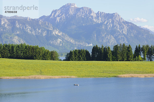 Forggensee bei Füssen  Tannheimer Berge  Ostallgäu  Bayern  Deutschland  Europa