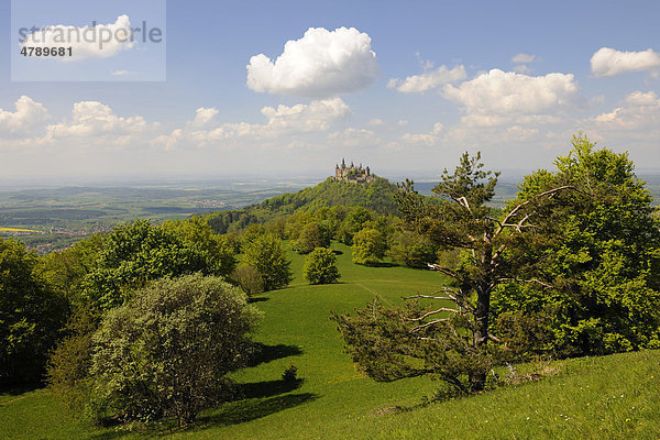 Burg Hohenzollern  Hechingen  Baden-Württemberg  Deutschland  Europa