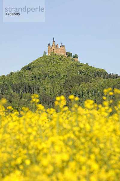 Burg Hohenzollern  Hechingen  Baden-Württemberg  Deutschland  Europa