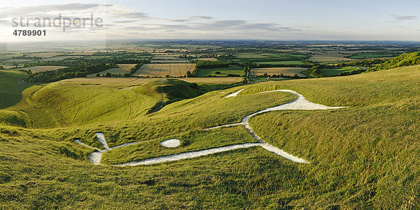 Uffington White Horse Geoglyph oder Scharrbild  Oxfordshire  England  Großbritannien  Europa