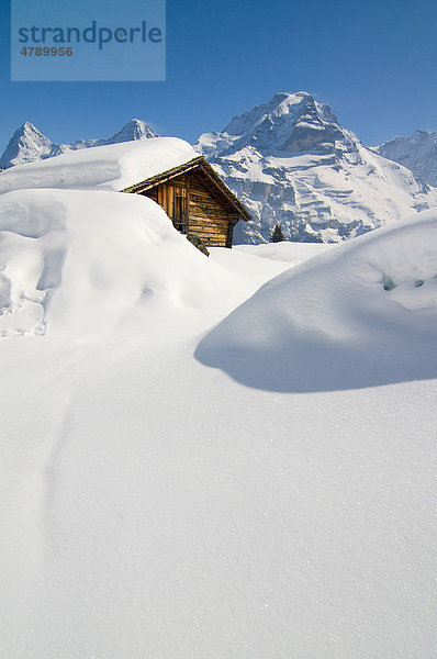 Verschneite Hütte  Mürren  Kanton Bern  Schweiz  Europa